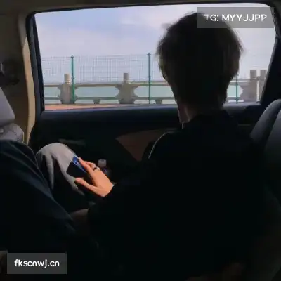 曹一淳